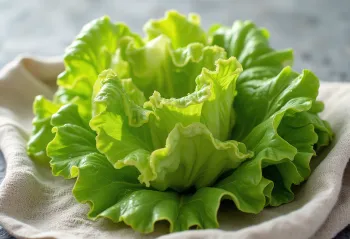 Kesme tahtasında canlı yeşil ve uçları kırmızımsı Batavia marulu